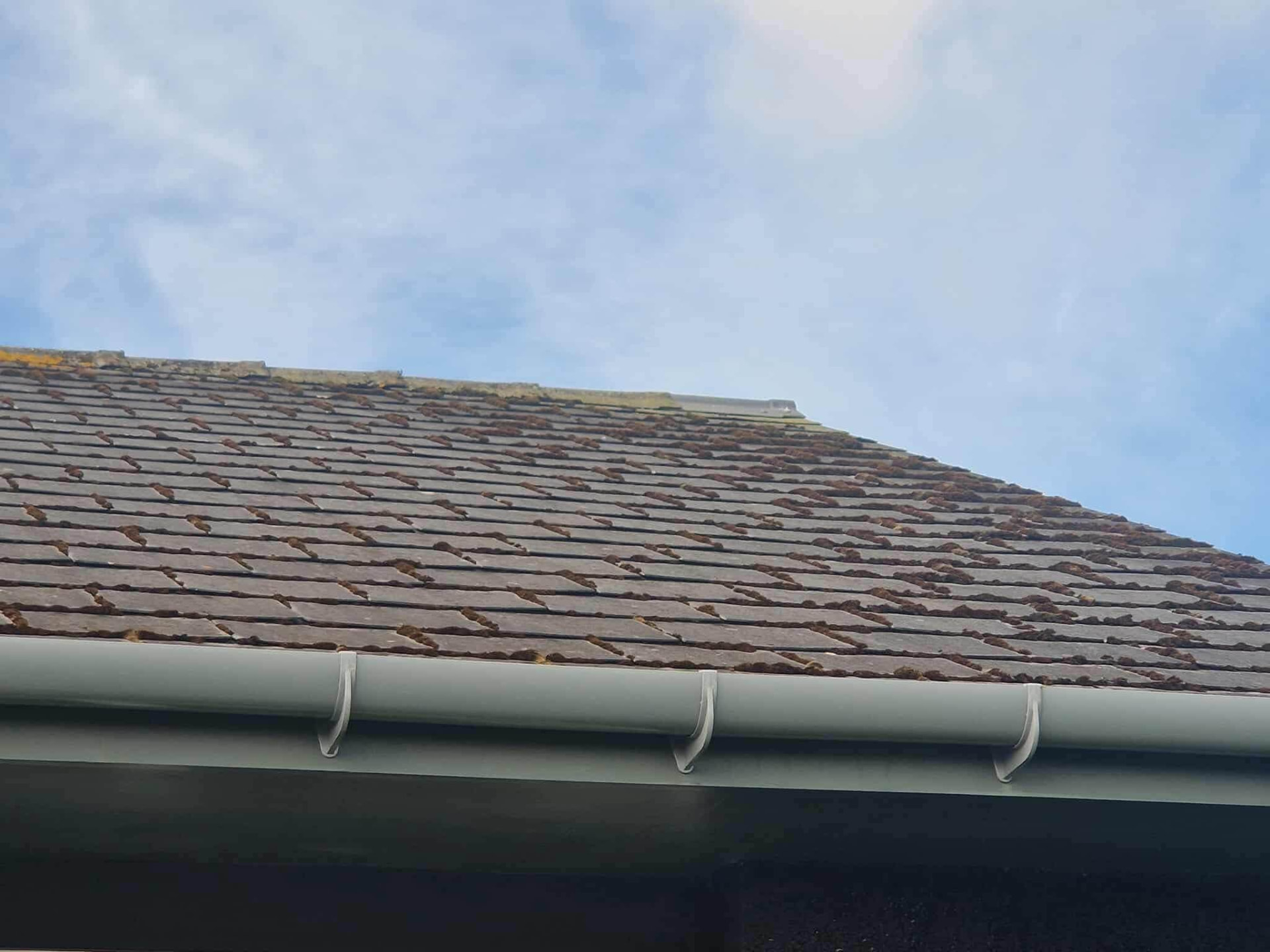 Roof cleaning in Shetland by Arthur & Simpson: before the work started