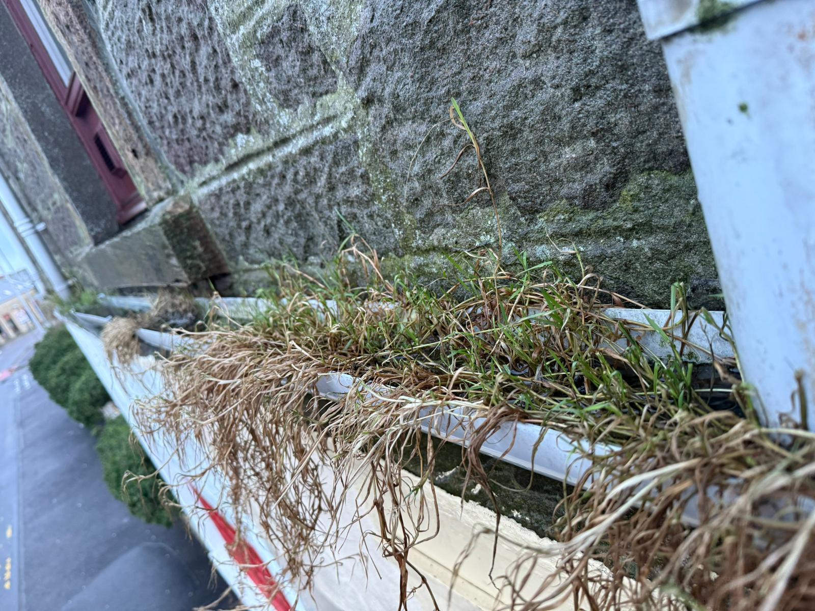 Gutter cleaning in Shetland by Arthur & Simpson: before the work started