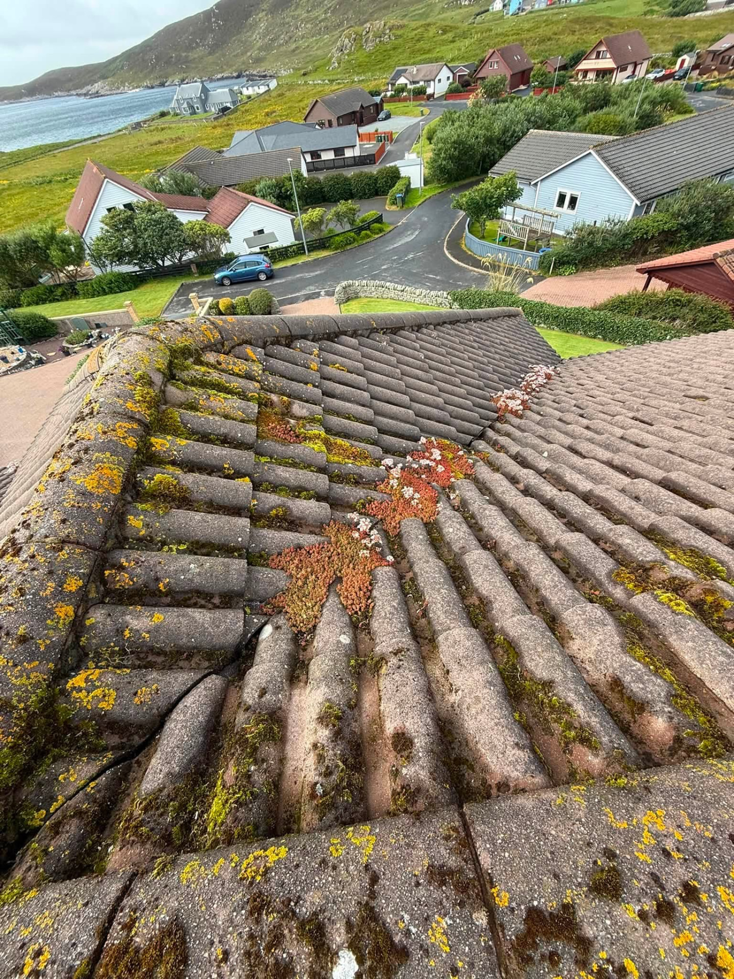 Roof cleaning in Shetland by Arthur & Simpson: before the work started